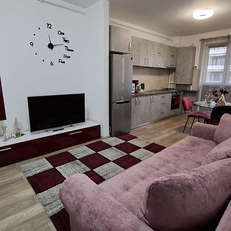 Ludi House Apartment Târgu-Mureş 외부 사진
