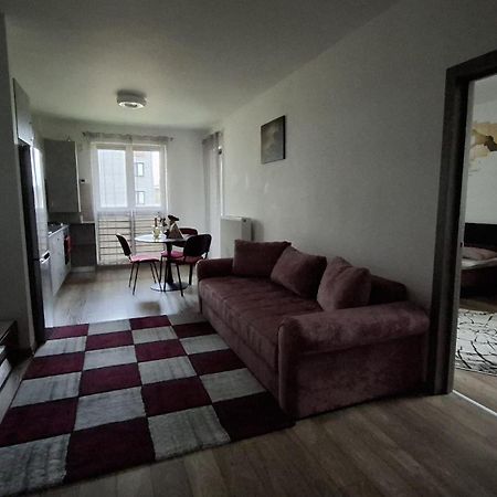 Ludi House Apartment Târgu-Mureş 외부 사진
