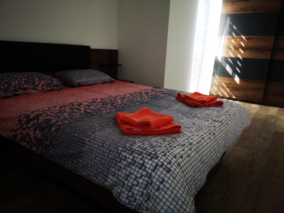 Ludi House Apartment Târgu-Mureş 외부 사진