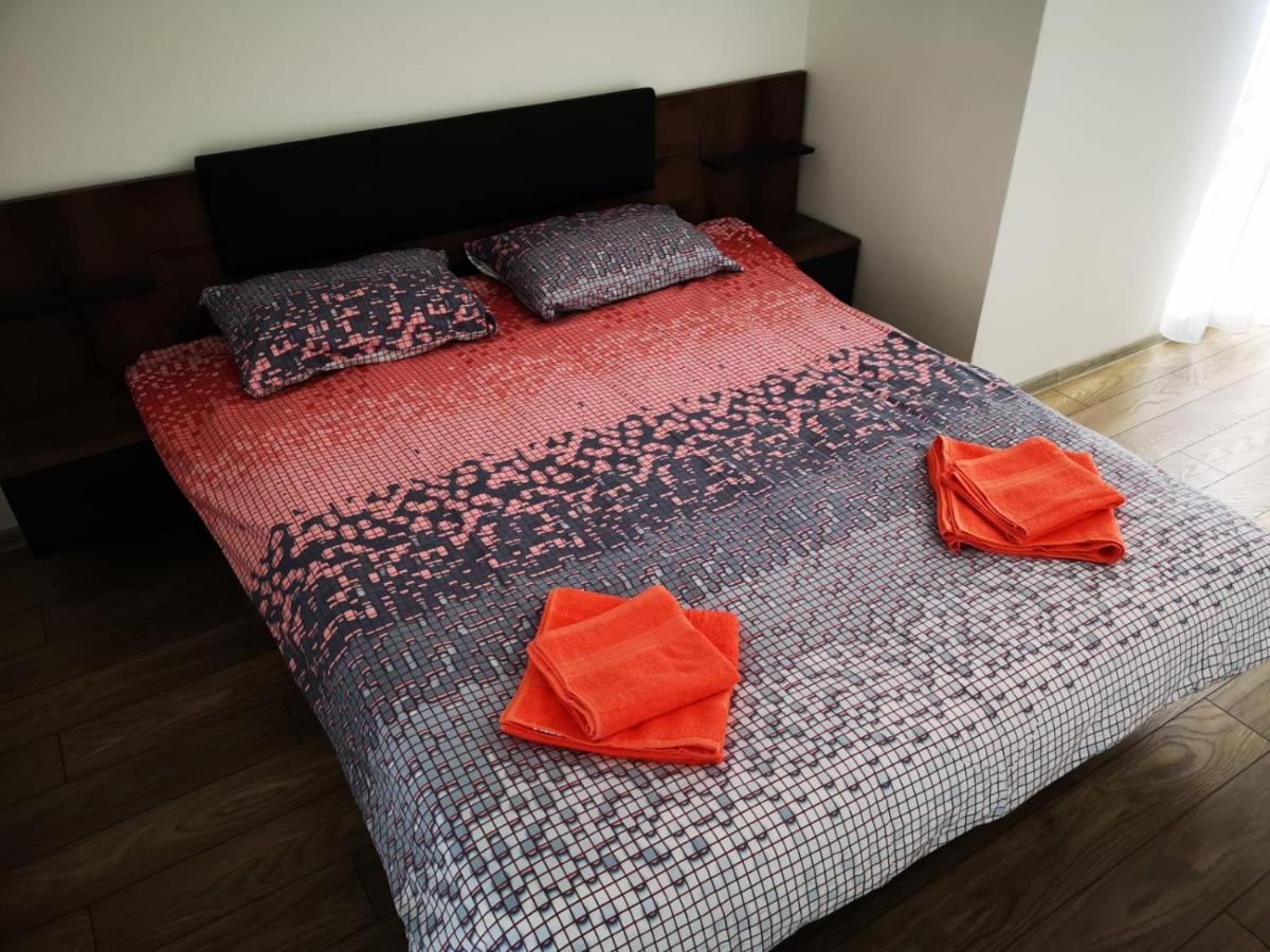 Ludi House Apartment Târgu-Mureş 외부 사진