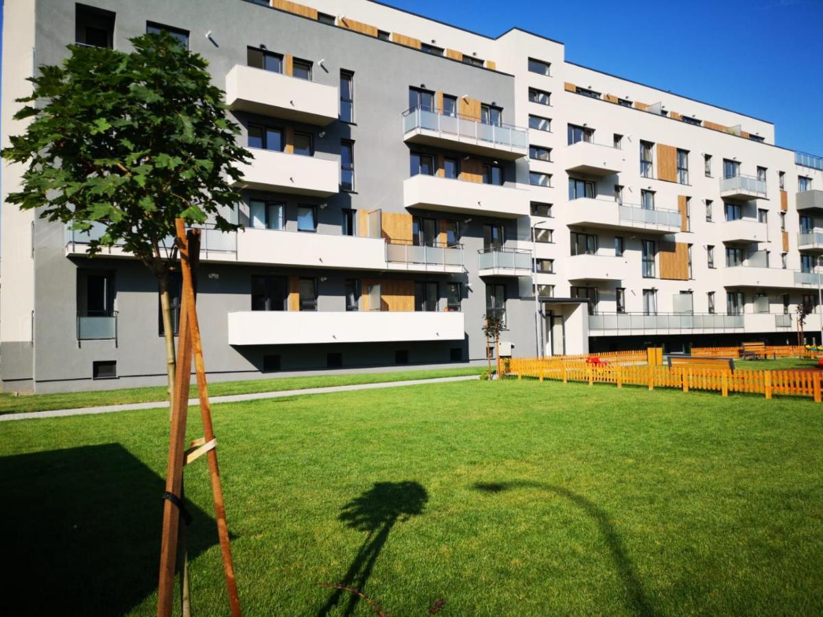 Ludi House Apartment Târgu-Mureş 외부 사진