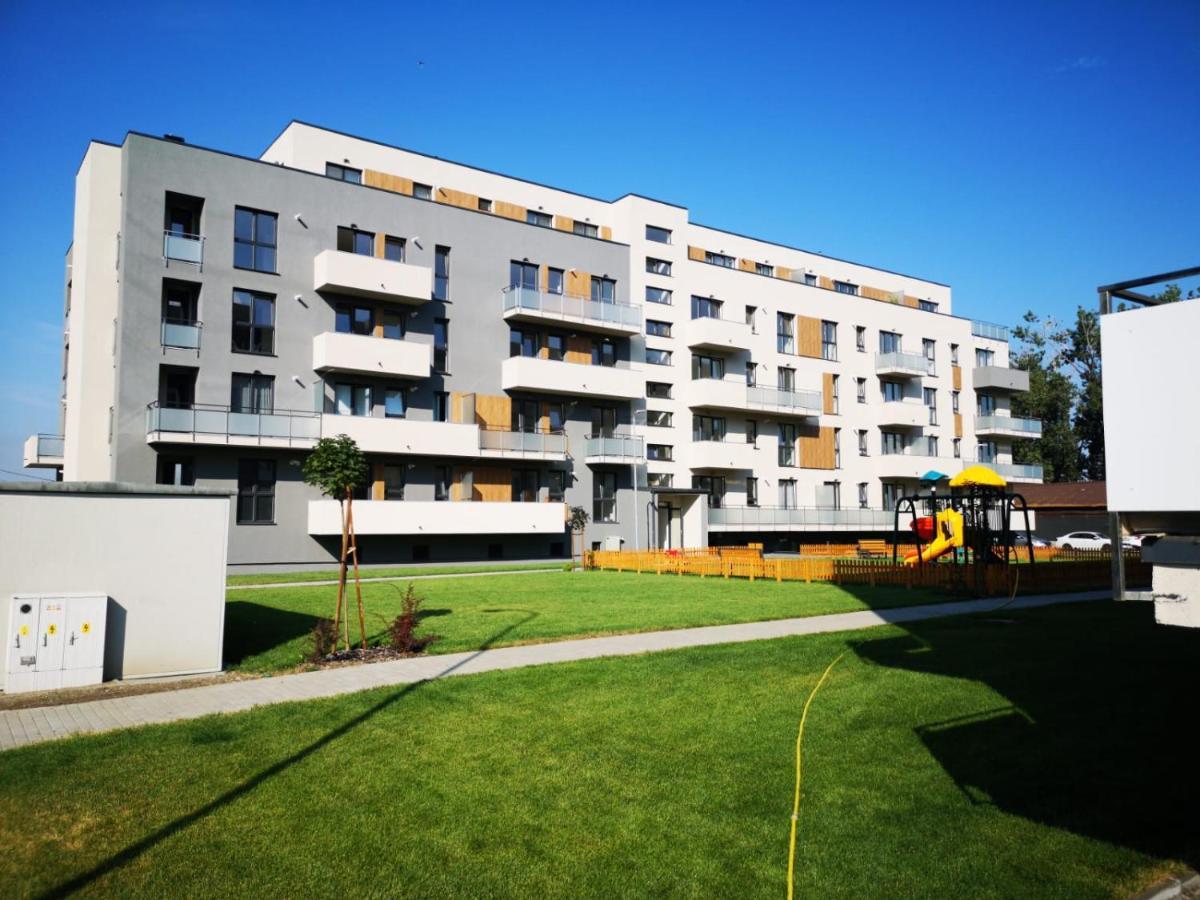 Ludi House Apartment Târgu-Mureş 외부 사진