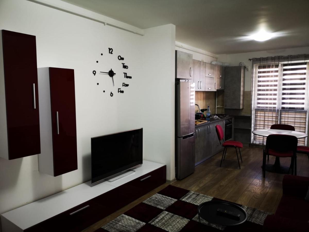 Ludi House Apartment Târgu-Mureş 외부 사진