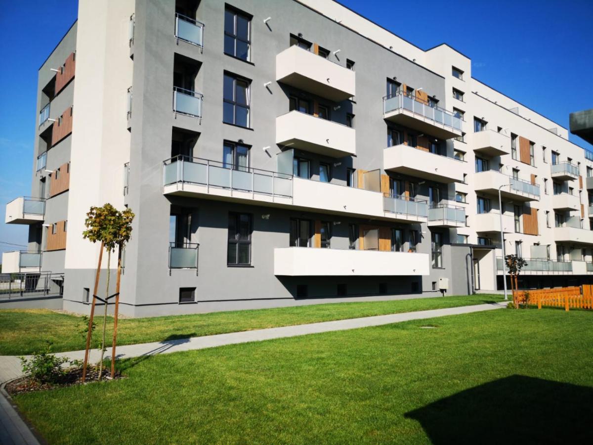 Ludi House Apartment Târgu-Mureş 외부 사진