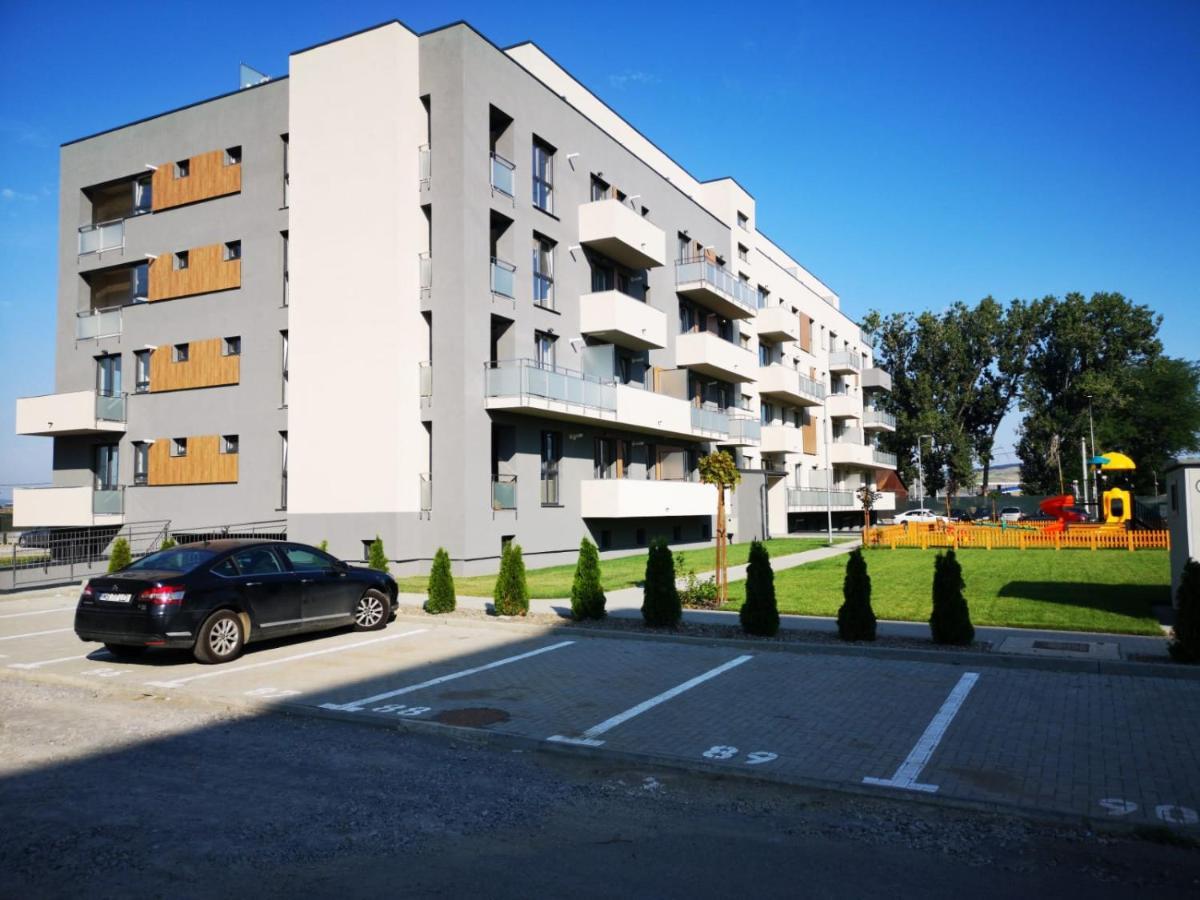 Ludi House Apartment Târgu-Mureş 외부 사진