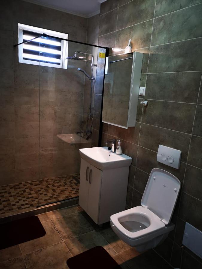 Ludi House Apartment Târgu-Mureş 외부 사진