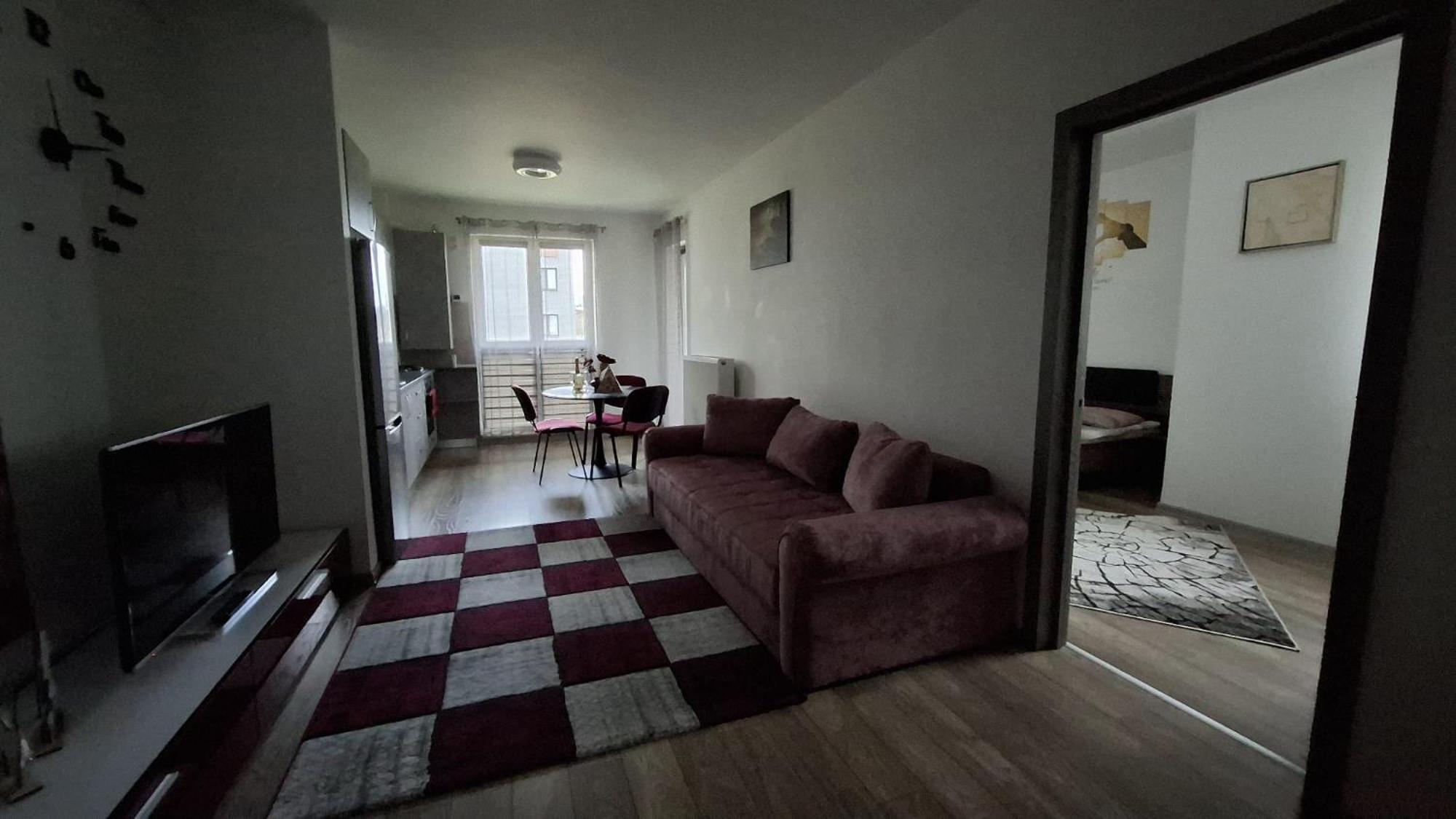 Ludi House Apartment Târgu-Mureş 외부 사진